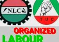 NLC Warns Civil Servants to Stop Taking Online Loans or Risk Dismissal.