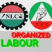 NLC Warns Civil Servants to Stop Taking Online Loans or Risk Dismissal.
