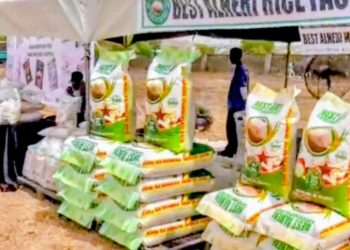 Niger Foods celebrates community and institutional champions for promoting agricultural innovation to enhance food security and sustainable practices.