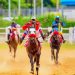 Renewed Hope International Horse Racing Derby Shakes Bida, Niger State 