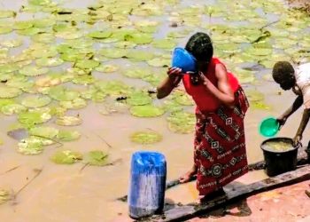 Langtang South, Kadarko  residents scavenge for water with animals ,as scarcity bits 