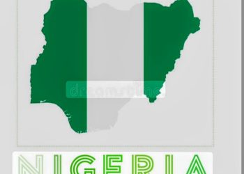 THE NIGERIAN JOURNEY