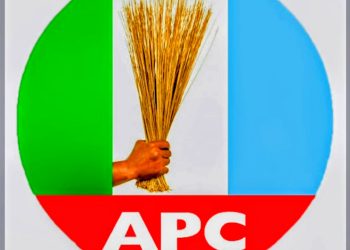 Former APC Youth Leader Sadiq Abubakar Announces Departure Due to Nigerians’ Economic Hardship