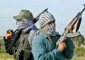 Bandits’ Attacks Displaced Borgu, Agwara Communities, Killing several, in Niger State