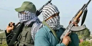 Bandits’ Attacks Displaced Borgu, Agwara Communities, Killing several, in Niger State