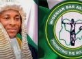 Nigerian Bar Association Minna Branch Congratulates Rt. Hon. Barr. Abdulmalik Sarkin Daji on National Legislative Award