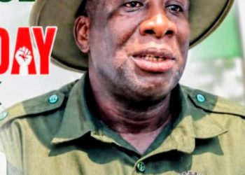 Democracy Day: Organized Labor in Niger State Congratulates Workers on Democracy Day