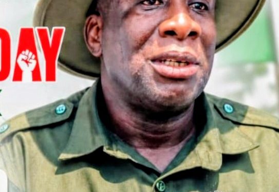 Democracy Day: Organized Labor in Niger State Congratulates Workers on Democracy Day