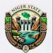 Niger State Government Clarifies Comments on Borgu Attack, Reaffirms Return to Normalcy.