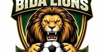 NLO Playoffs: Bida Lions Demand Investigation Over Lafia Center Results