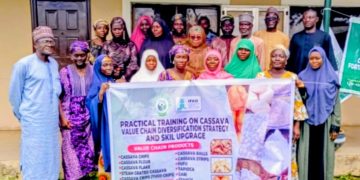 Niger cassava processors turn to chips production after VCDP training