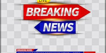 Breaking News : Federal Executive Council Approves $160 Million Financing for Niger State Solar Energy Project
