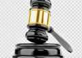 Court adjourns hearing of Member of Langtang North /South for accelerated hearing