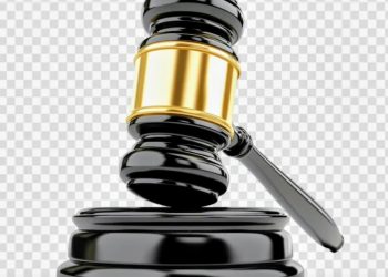 Court adjourns hearing of Member of Langtang North /South for accelerated hearing